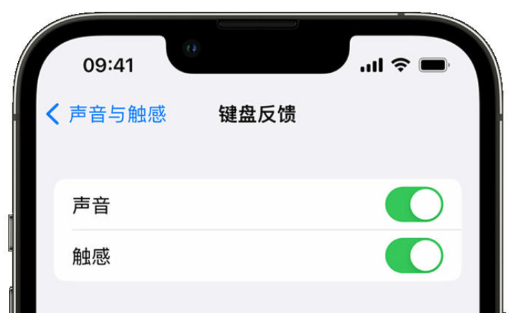 桥头镇苹果手机维修分享iPhone 14触感键盘使用方法 