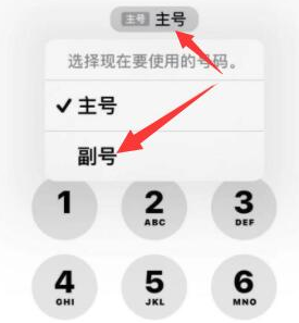 桥头镇苹果14维修店分享iPhone 14 Pro Max使用副卡打电话的方法 