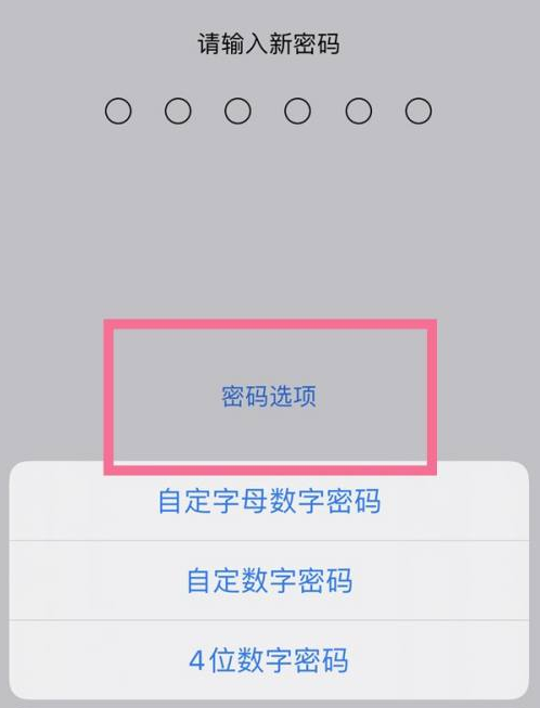 桥头镇苹果14维修分享iPhone 14plus设置密码的方法 