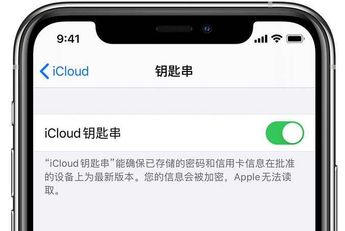 桥头镇苹果手机维修分享在 iPhone 上开启 iCloud 钥匙串之后会储存哪些信息 